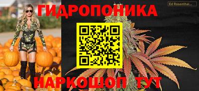 ГАЛЛЮЦИНОГЕННЫЕ ГРИБЫ Вязьма