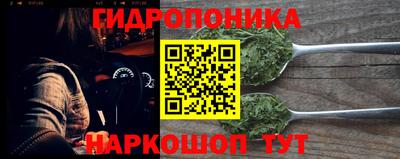 ГАЛЛЮЦИНОГЕННЫЕ ГРИБЫ Вязьма