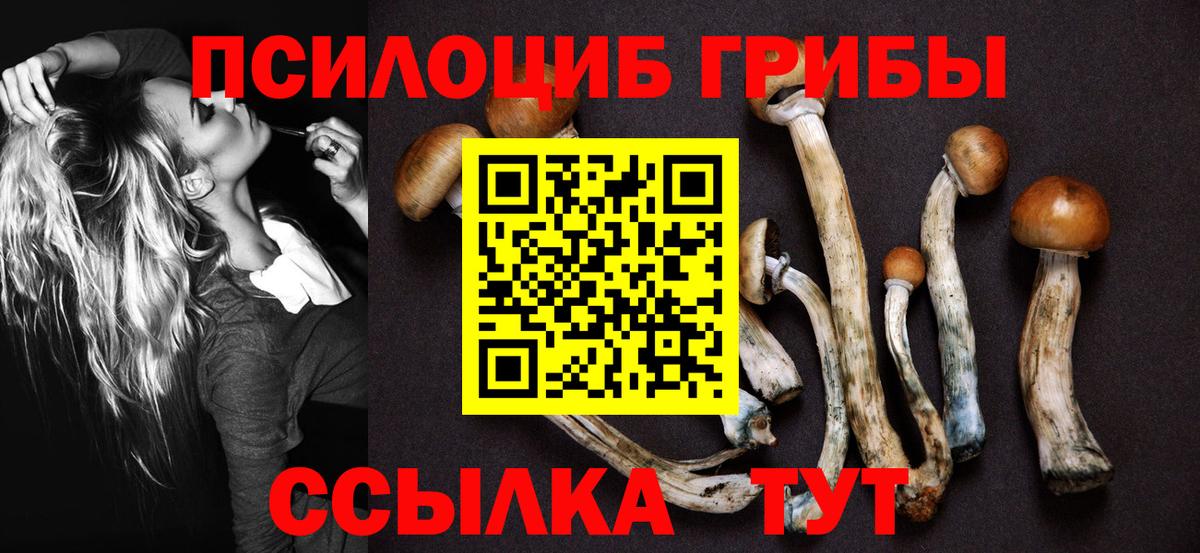 Галлюциногенные грибы прущие грибы Вышний Волочёк