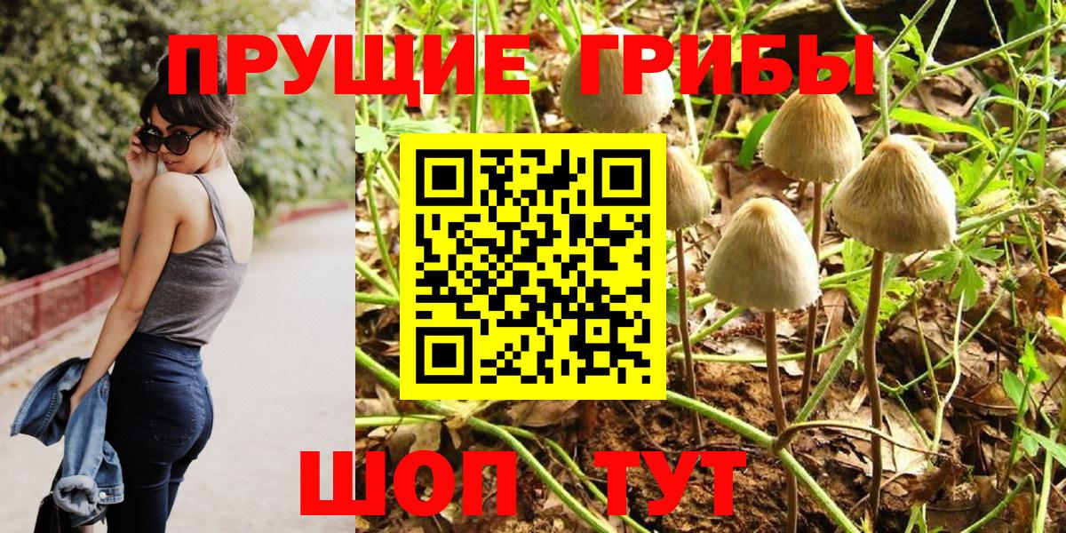 Вышний Волочёк  Псилоцибиновые грибы Psilocybine cubensis  Вход с VPN 